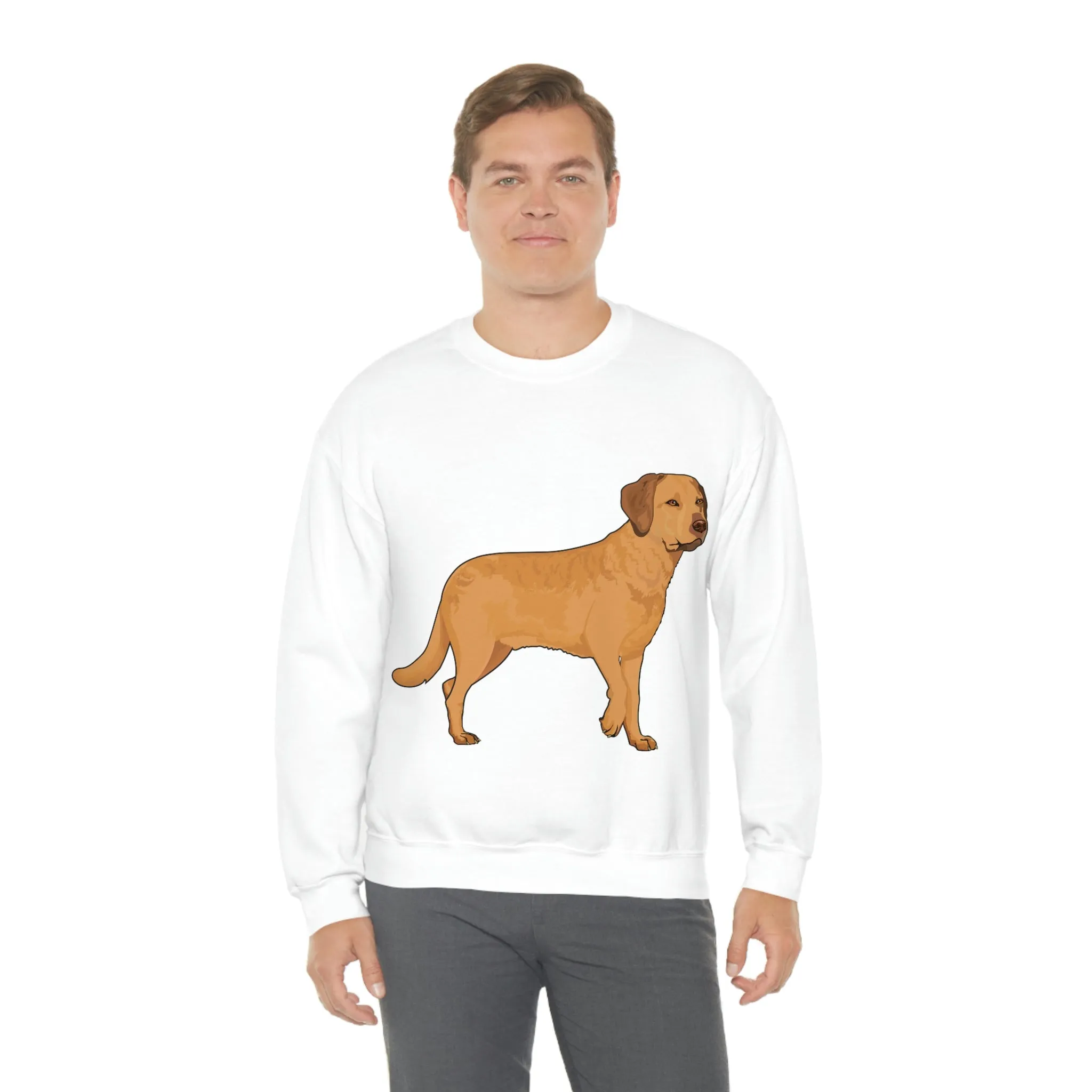 Chesapeake Bay Retriever Unisex Heavy Blend Crewneck Sweatshirt, 6 Colors, S - 3XL, Cotton/Polyester, FREE Shipping, Made in USA!!